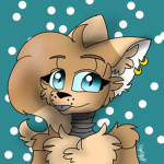 KK the fox’s Group!!