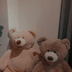 TEDDY BE4R