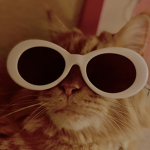 The Mermaid Cats Group