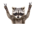 Raccoon lives Matter