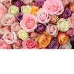 RosesgamingYT
