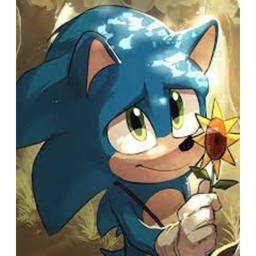 we adore sonic gift for kat