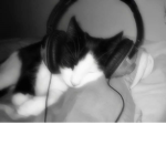 AnimalLiebe