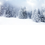 Seasonal Group!