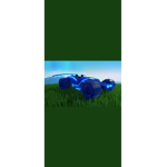 Danorex team
