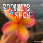 •. sophie’s shop .•