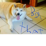 team pixel brb why i say meh