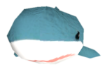 Actual Shark Clothing