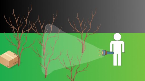 The Check (Beta)