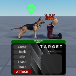 K9 Test
