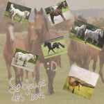 Le groupe des hors :D