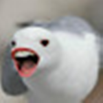 The SomeGuyPF Fan Group