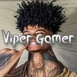 Viper Gamer