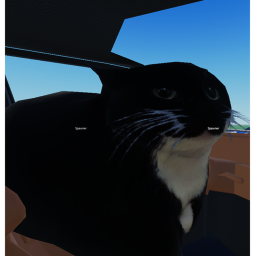 Car Riding Simulator