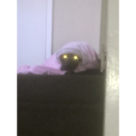 ########## x