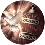 Part 3: Transcendence