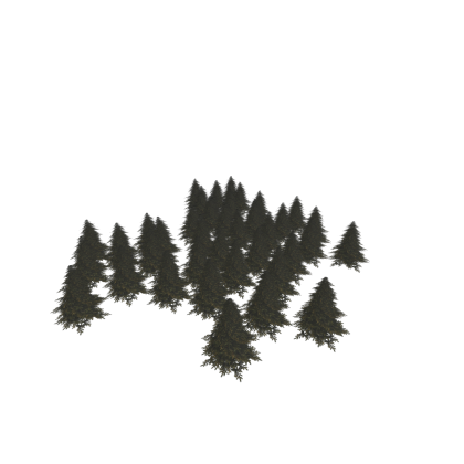 forest trees growth green Roleplay Nature Trees