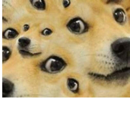 DOG & PUPPY OBEY & DOGES!