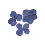 iramify