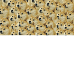 DOGE _CLAN(: