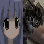 go go anime (friends only)