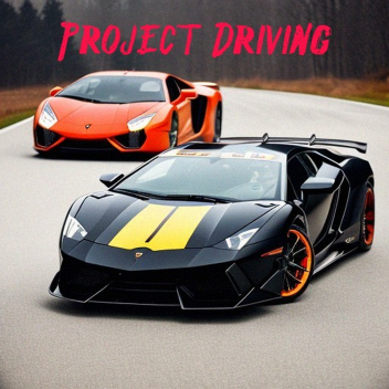 Project Driving 