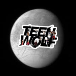 Beacon Hills: A New Fate