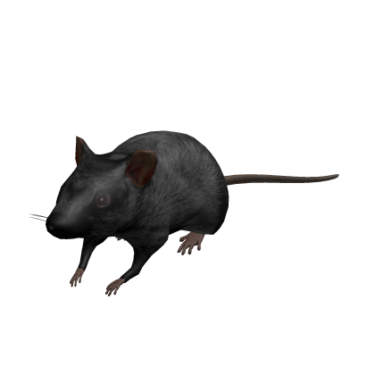 Black Rat Shirt thumbnail