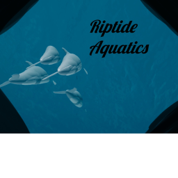 .*Riptide Aquatic's Main Stadium*.