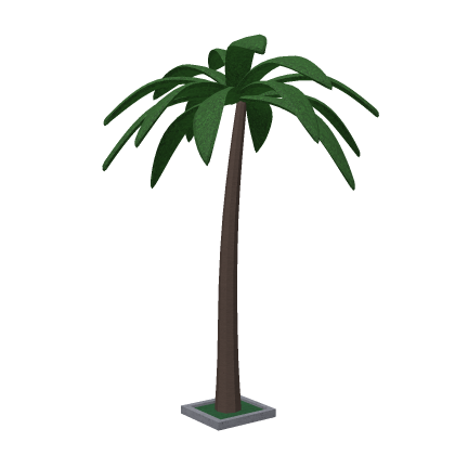 Palm Tree