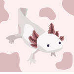 AX OL OT LS
