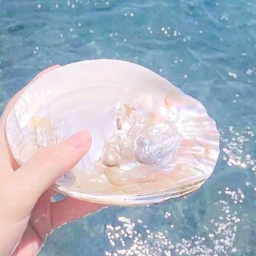 ⋆ ˚✩｡🐚 ⋆｡°✩