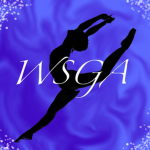 You Don’t Need WINGS To Fly ~ WSGA
