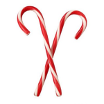 The Holiday Clothing World- Christmas Theme