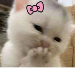 zqkio<3