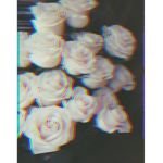 dazed™