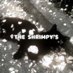 The Shrimpy's