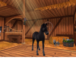 I love horses!
