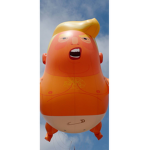 Donald dorito group