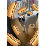 TEAM HOG DOG