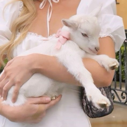☆