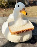 QuackDevs