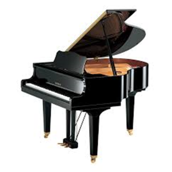 Play The Piano!