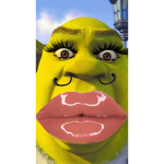 Shrek is so pretty
