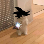 ANIME CAT GOKU