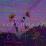 Ｖａｐｏｒｗａｖｅ ワ衛中