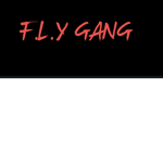 Fly folks