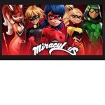 Miraculous! Ladybug and Cat Noir