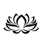 Water Lily Studios