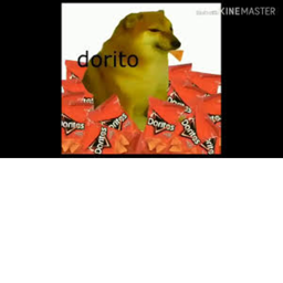 Dorito hangout